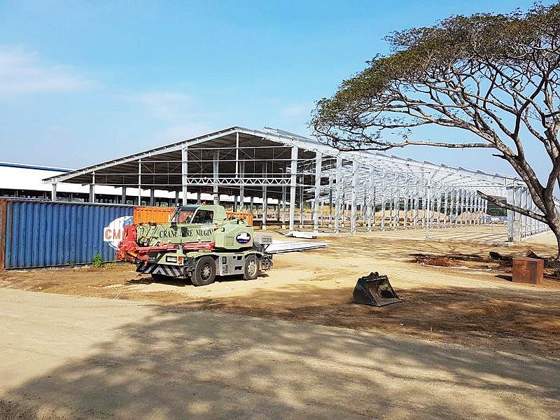 Granja de vacas de estructura de acero