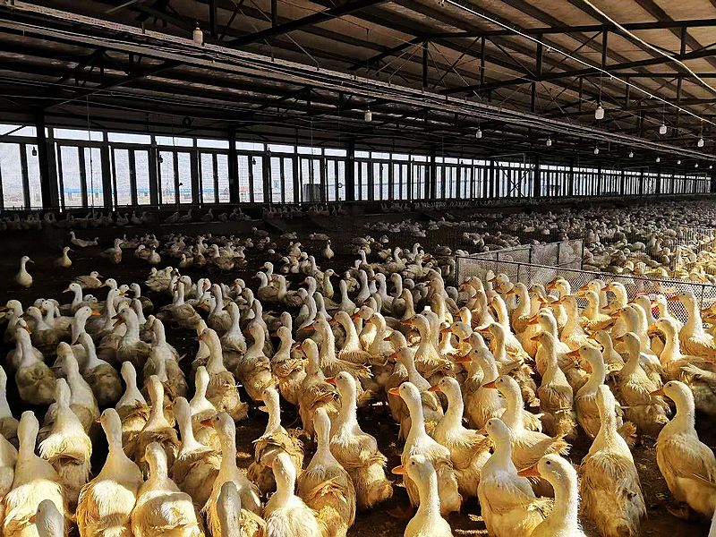 Estructura de acero galvanizado &nbsp;