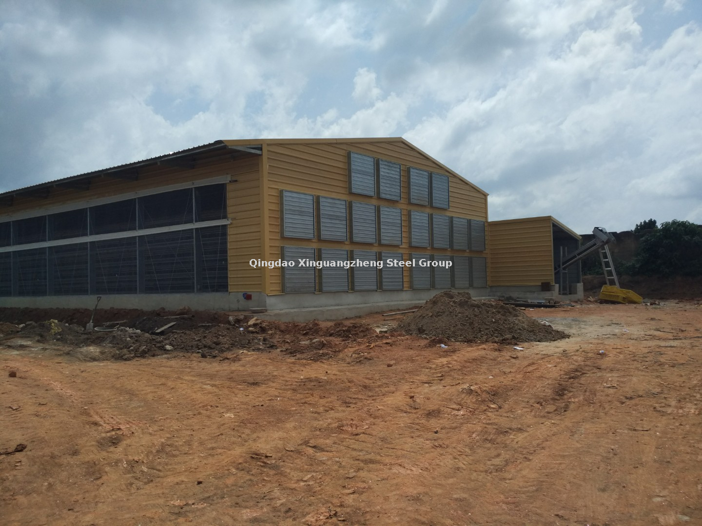 casa de gallina comercial