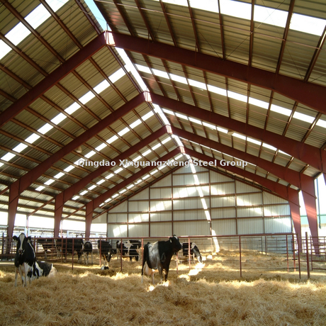 Estructura de acero fabricada cobertizo de vaca prefabricado cobertizo de granja lechera