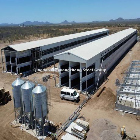 Construcción de la granja de pollo de acero de México Populy Coops Farms Farms Shed