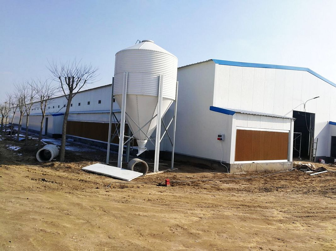 granja de pollos de aves de corral