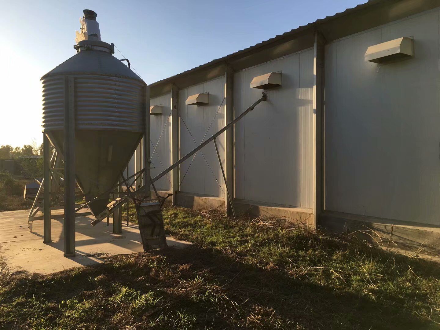 cobertizo de pollo comercial