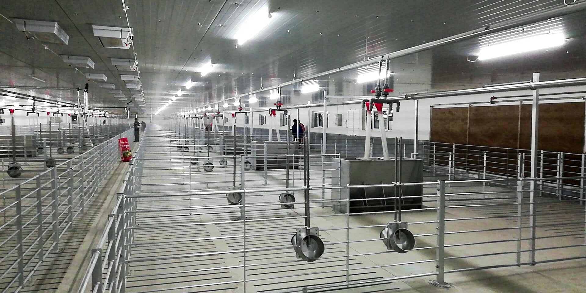 granja de cerdo de acero