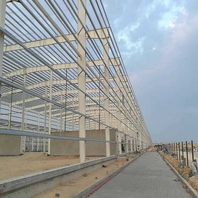 Taller Industrial Blue Hall Estructural