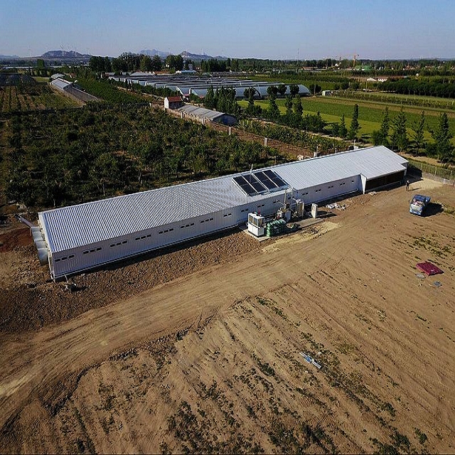 Estructura de acero de acero galvanizado Edificio de granja de pollos de cobertizo de aves de corral