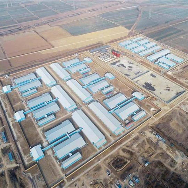 Prefab de acero Pigsty Piggery Pen Pig Farm