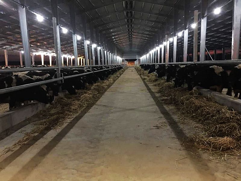 Granja de acero galvanizado