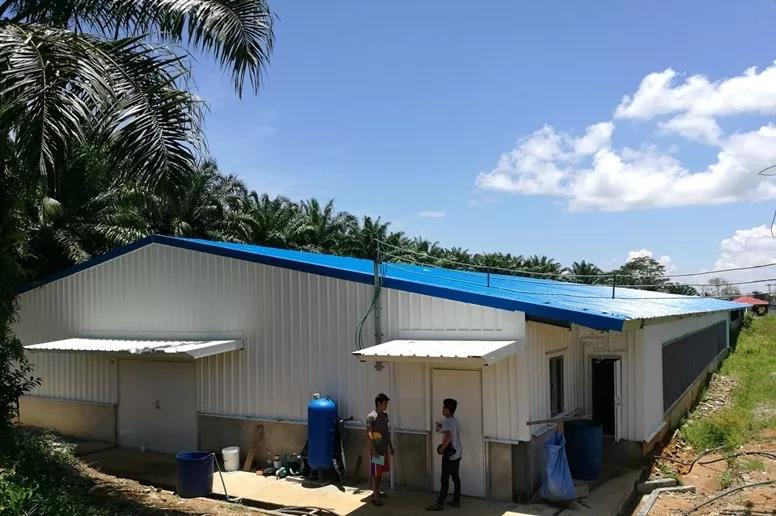 granja av&iacute;cola