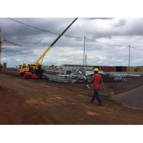 Taller de estructura de acero de ventas calientes de Mauricio