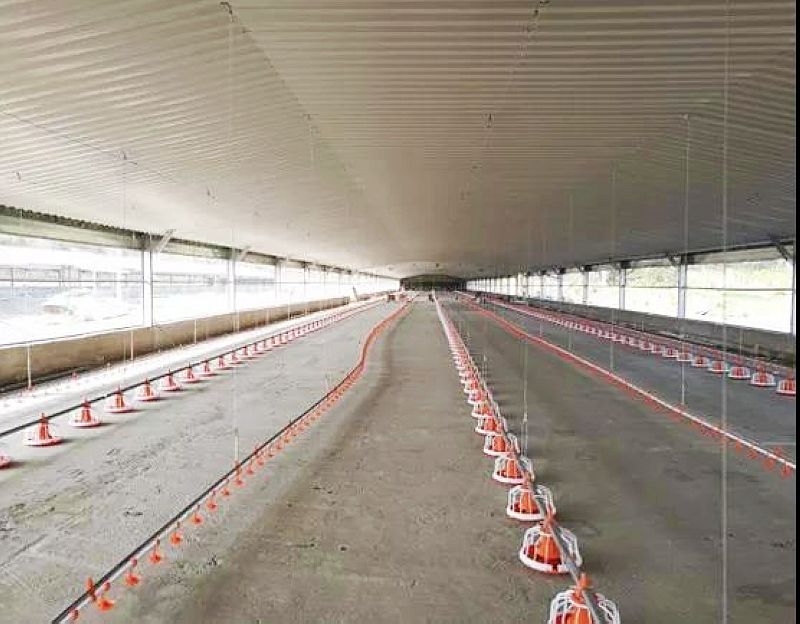 Edificio de granja de pollos