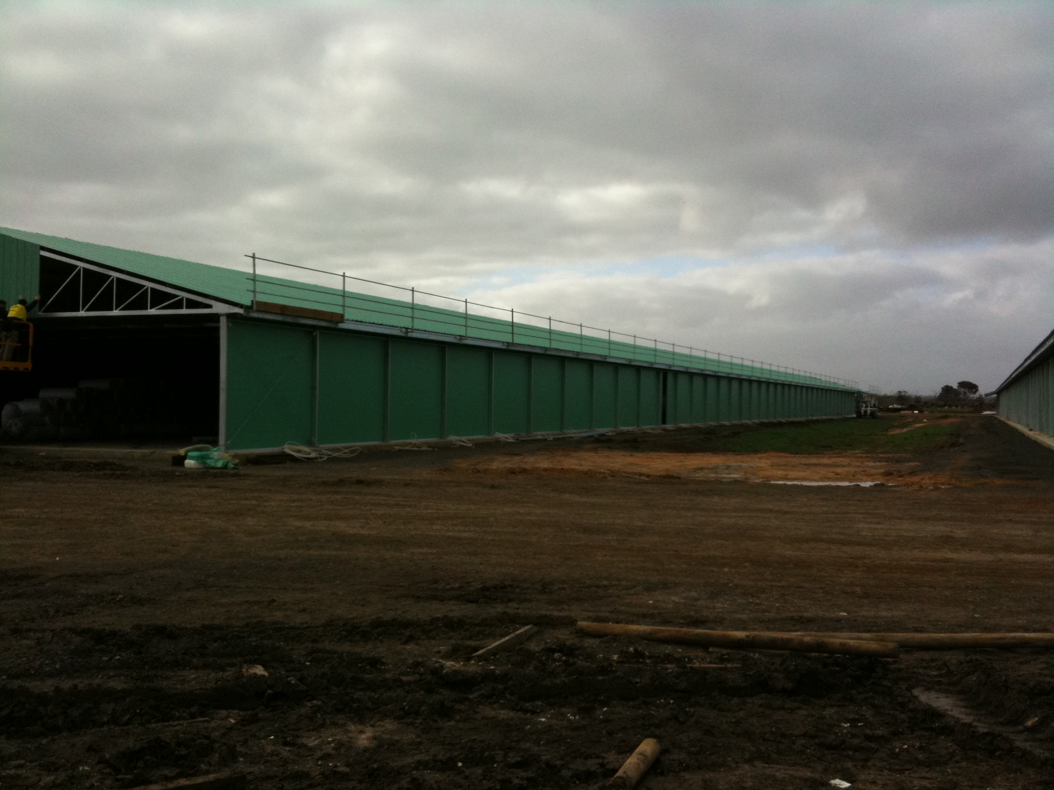 estructura de acero de pollo