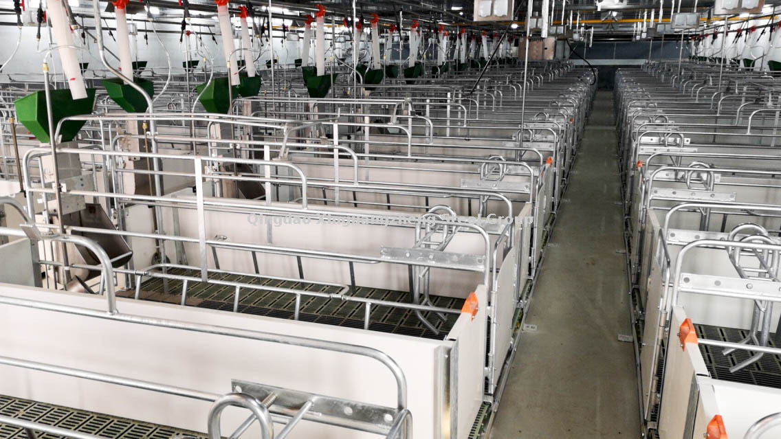 Granja de cerdos prefabricados